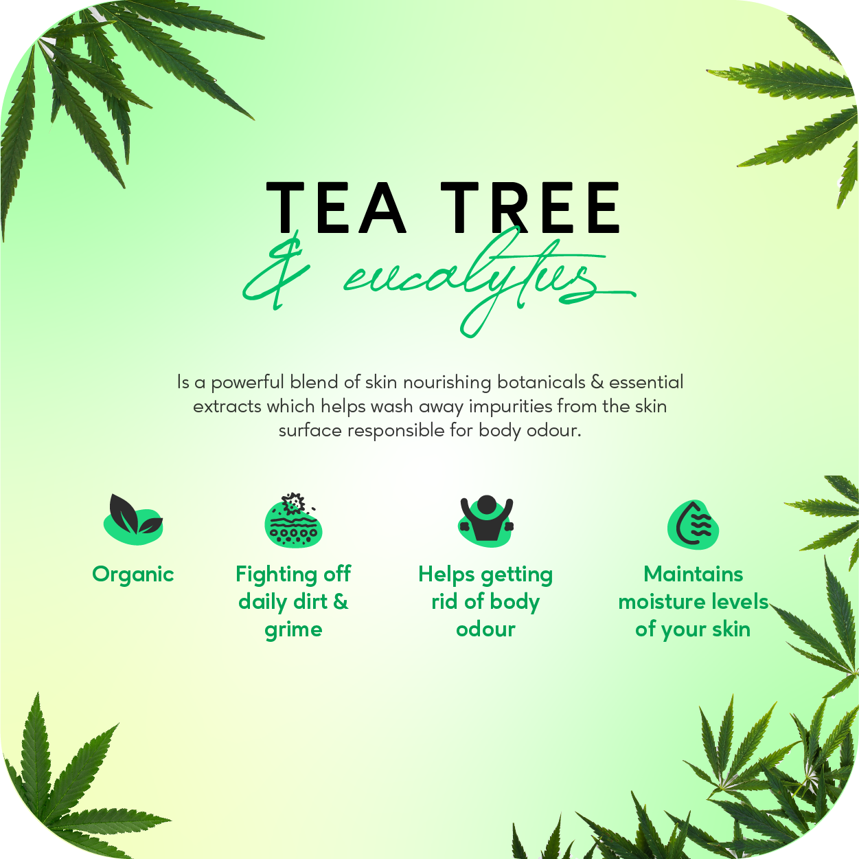https://cdn.shopify.com/s/files/1/1857/6931/products/Teatree_Eucalyptusbodywash-03.png?v=1680693791