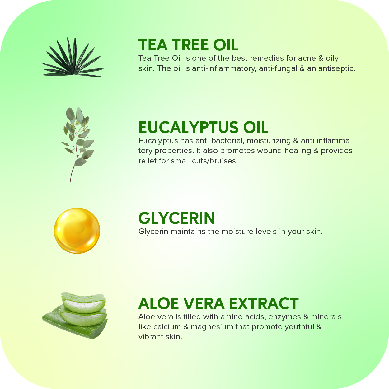 https://cdn.shopify.com/s/files/1/1857/6931/products/Teatree_Eucalyptusbodywash-04.png?v=1680693791