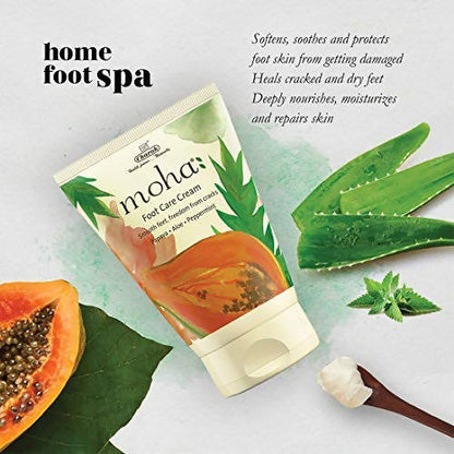 https://cdn.shopify.com/s/files/1/1857/6931/products/ThSuqxrUPn.jpg?v=1630671480