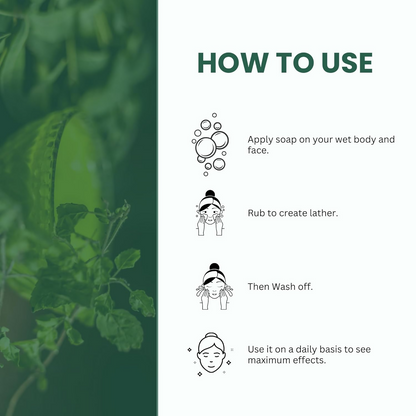 https://cdn.shopify.com/s/files/1/1857/6931/files/Thpufkj9sC.png?v=1777028123