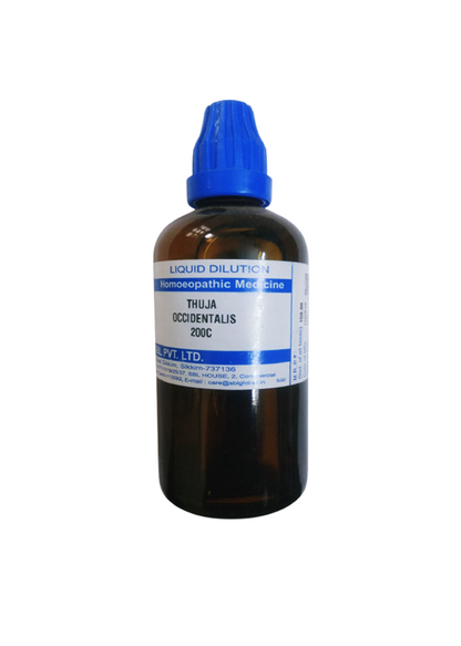 https://cdn.shopify.com/s/files/1/1857/6931/products/Thuja_Occidentails_200C-removebg-preview_749076a9-ed5e-4147-a54a-21ecfb894343.png?v=1737559864