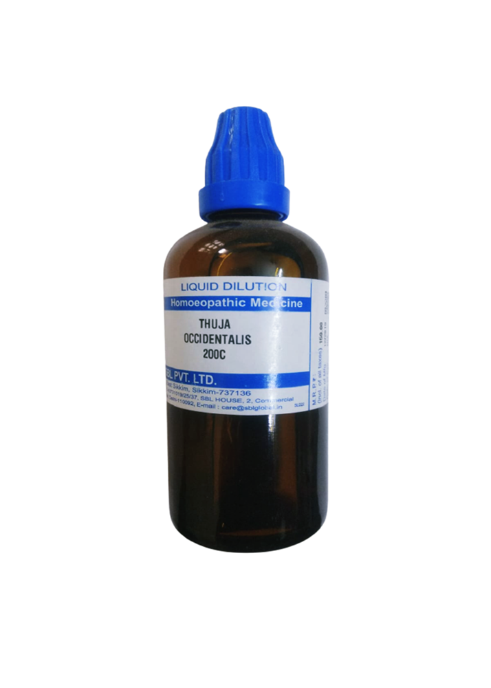https://cdn.shopify.com/s/files/1/1857/6931/products/Thuja_Occidentails_200C-removebg-preview_749076a9-ed5e-4147-a54a-21ecfb894343.png?v=1737559864