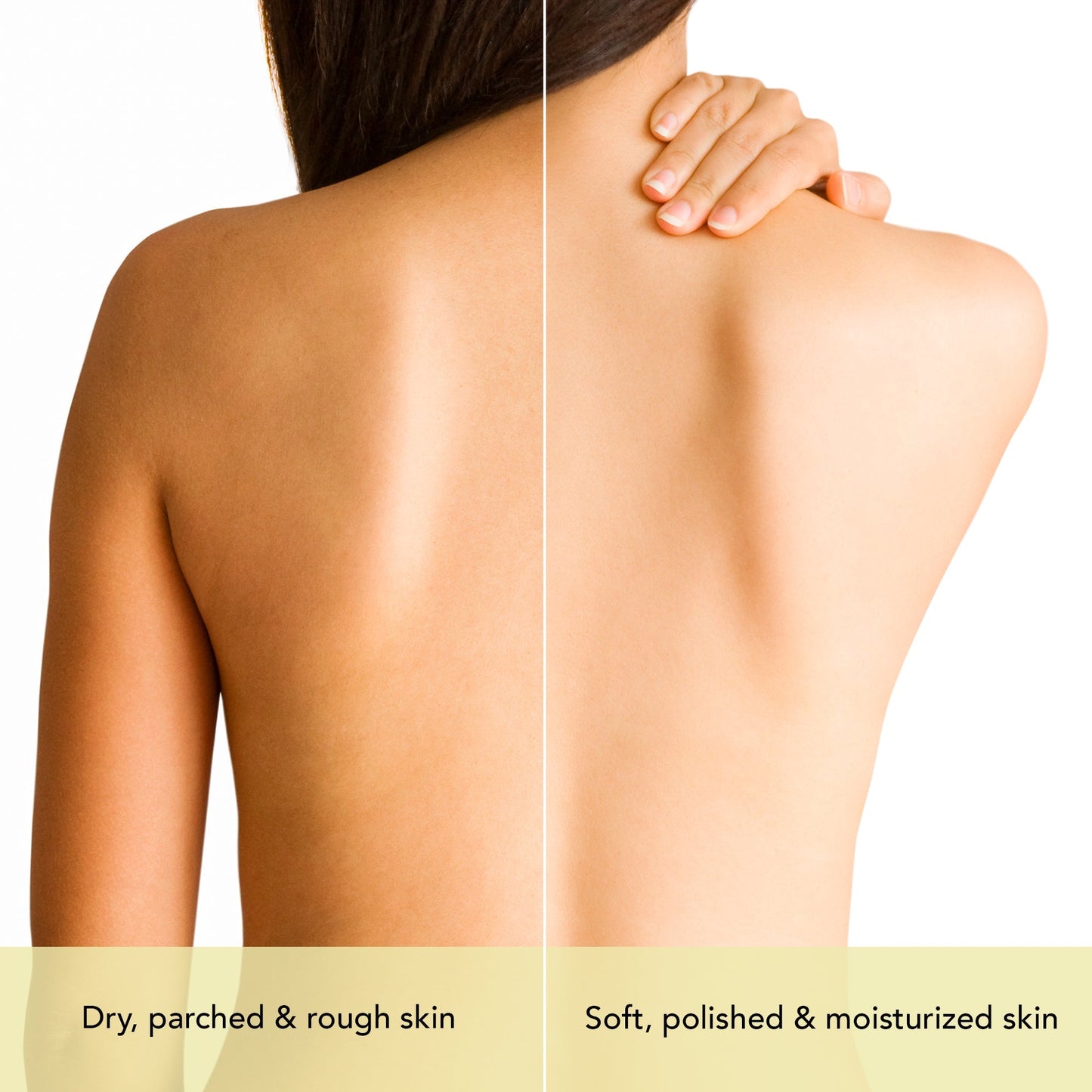 https://cdn.shopify.com/s/files/1/1857/6931/files/TimelessGlowBodyOil_2000x2000_05.jpg?v=1770890430