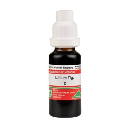 https://cdn.shopify.com/s/files/1/1857/6931/files/TinK9UNwhB-965039.jpg?v=1762315272