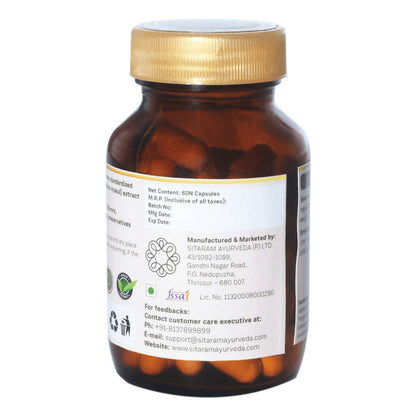 https://cdn.shopify.com/s/files/1/1857/6931/products/TjDTfDXgQ4.jpg?v=1640777252