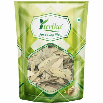 https://cdn.shopify.com/s/files/1/1857/6931/products/TjlyBl6rwG.jpg?v=1631702795