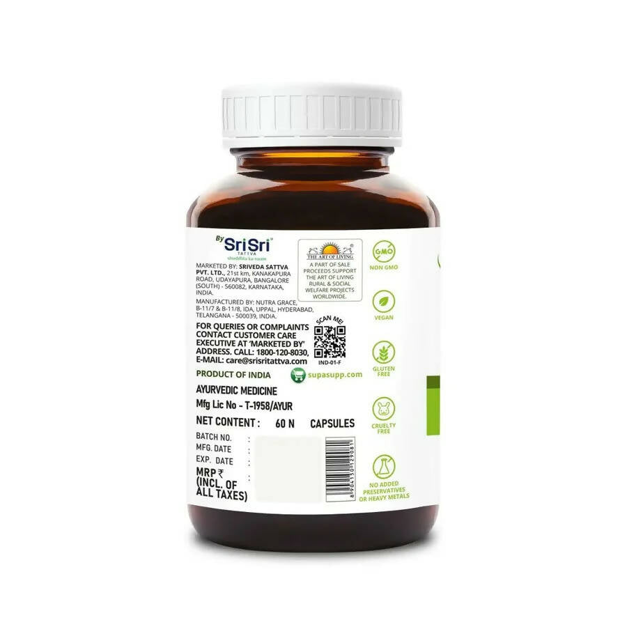 https://cdn.shopify.com/s/files/1/1857/6931/products/TkrbYCIqMH.jpg?v=1665033098