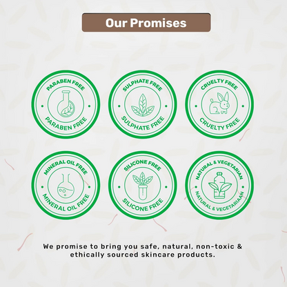 https://cdn.shopify.com/s/files/1/1857/6931/files/TnS1ZZoJI7.png?v=1728048703