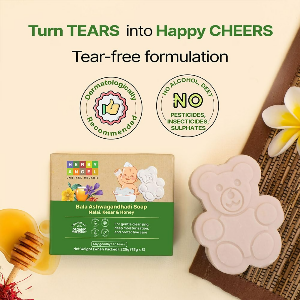 https://cdn.shopify.com/s/files/1/1857/6931/files/TnyQszo2Gd.png?v=1736169435