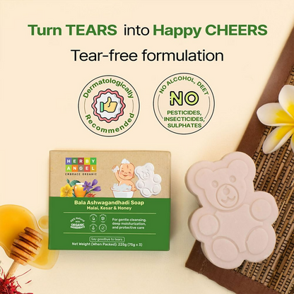 https://cdn.shopify.com/s/files/1/1857/6931/files/TnyQszo2Gd.png?v=1736169435