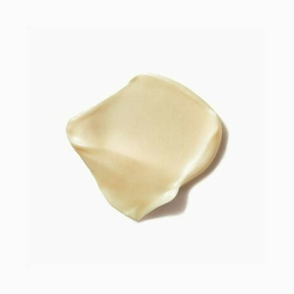 https://cdn.shopify.com/s/files/1/1857/6931/files/ToFf6vFrX4.jpg?v=1715425338