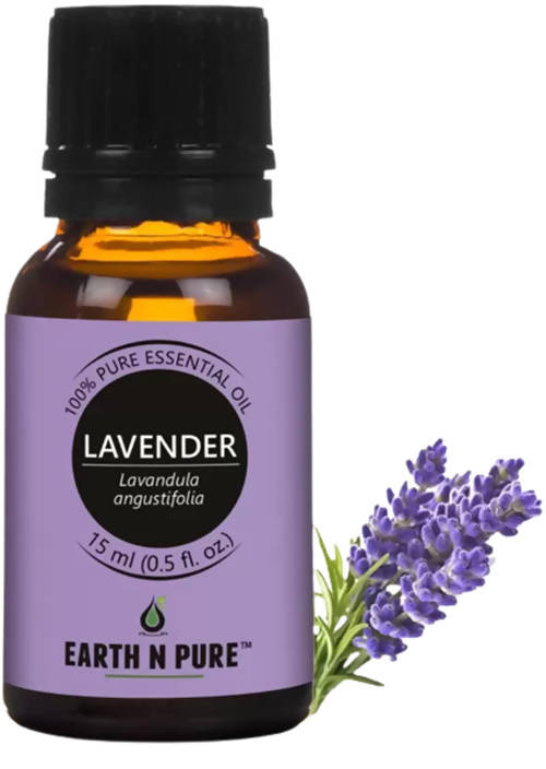 https://cdn.shopify.com/s/files/1/1857/6931/products/Ton4IVZ2B8.jpg?v=1646137985