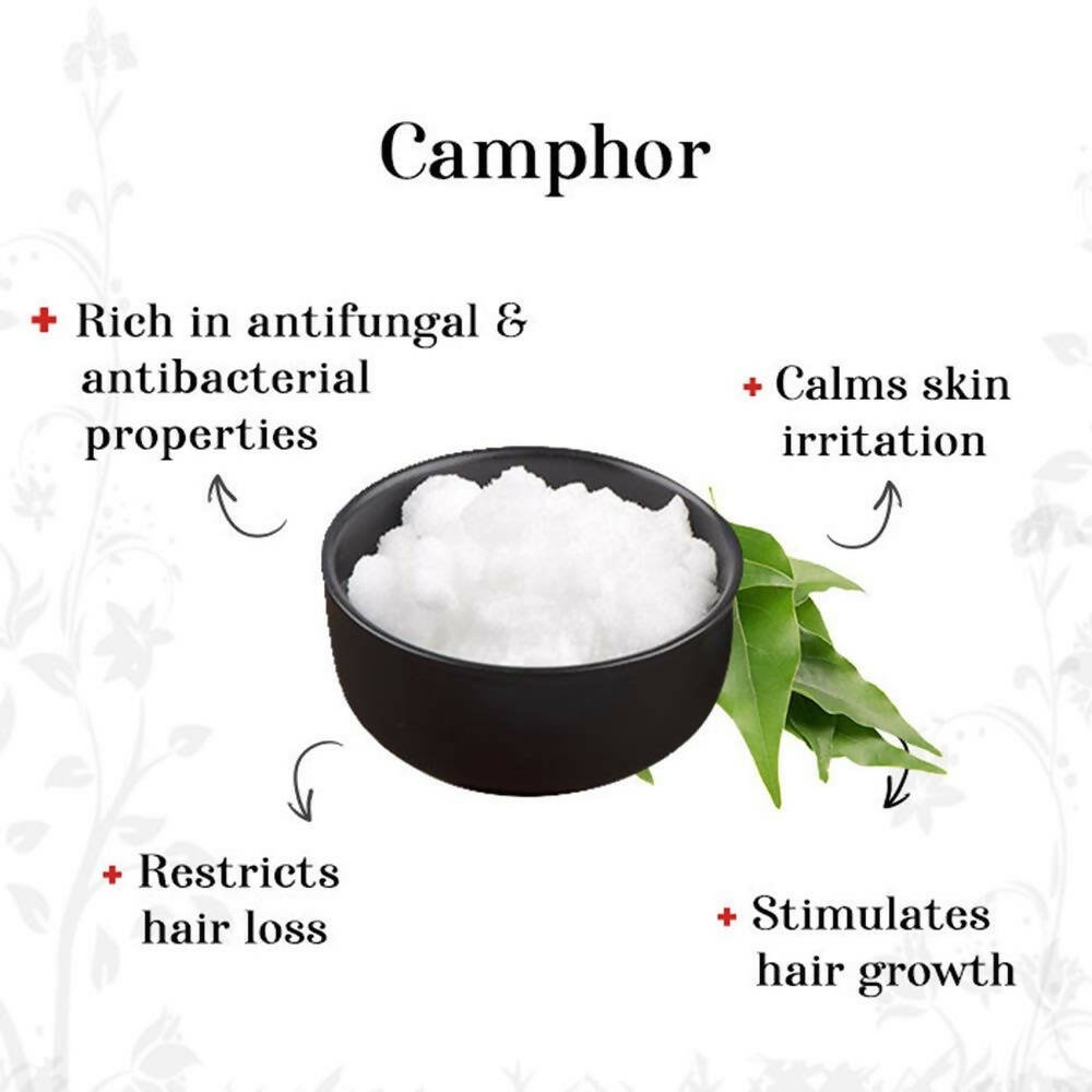 https://cdn.shopify.com/s/files/1/1857/6931/files/TpdSi23irH-971825.jpg?v=1736146682