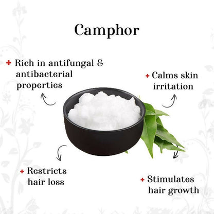https://cdn.shopify.com/s/files/1/1857/6931/files/TpdSi23irH-971825.jpg?v=1736146682