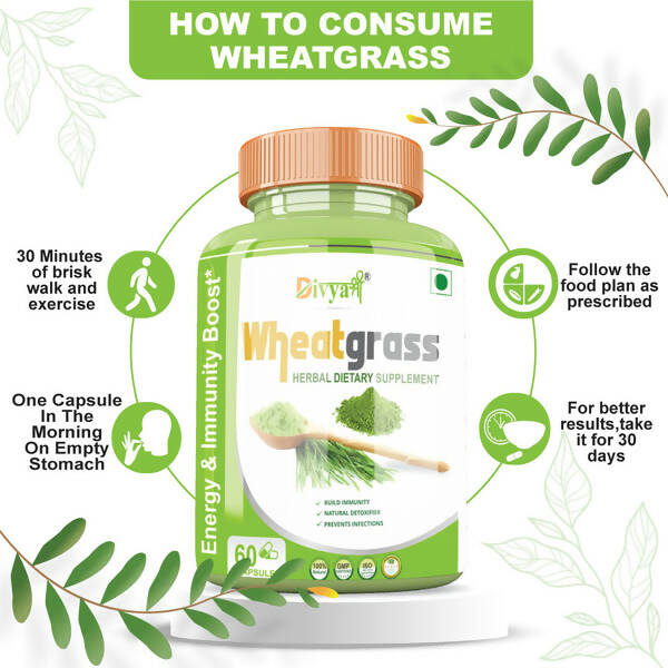 https://cdn.shopify.com/s/files/1/1857/6931/products/TqYlLPPSzE.jpg?v=1672209899