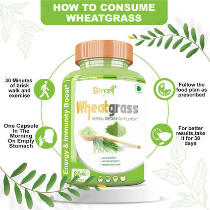 https://cdn.shopify.com/s/files/1/1857/6931/products/TqYlLPPSzE.jpg?v=1672209899