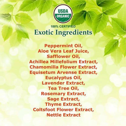 https://cdn.shopify.com/s/files/1/1857/6931/products/TrNjaDFrQ5.jpg?v=1646722375