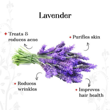 https://cdn.shopify.com/s/files/1/1857/6931/files/TtUoTfJFbR-689952.jpg?v=1736146686