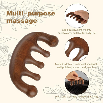 https://cdn.shopify.com/s/files/1/1857/6931/files/TtkaHJP8pW.png?v=1785492397