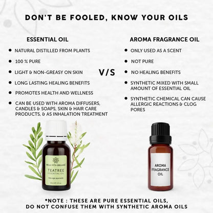 https://cdn.shopify.com/s/files/1/1857/6931/products/TuFtxL6FO5.jpg?v=1625797833