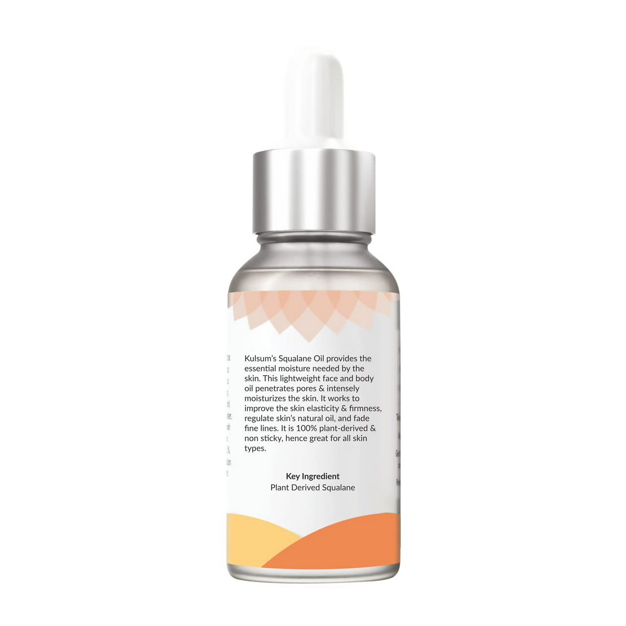 https://cdn.shopify.com/s/files/1/1857/6931/files/TuiboLO58I.png?v=1727760225