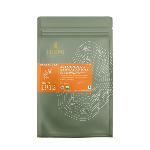 https://cdn.shopify.com/s/files/1/1857/6931/files/TvctmWjTrz.png?v=1782393682