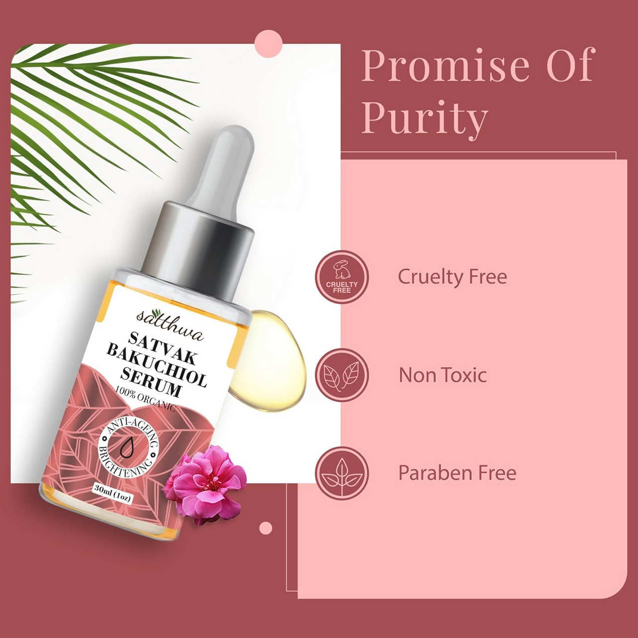 https://cdn.shopify.com/s/files/1/1857/6931/files/TwlKBilhcf.png?v=1728121388