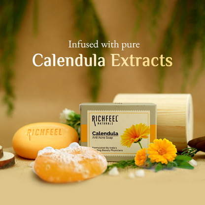 https://cdn.shopify.com/s/files/1/1857/6931/files/TxRgWZf61u.png?v=1743511220