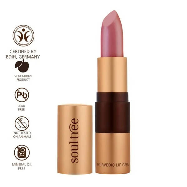 https://cdn.shopify.com/s/files/1/1857/6931/products/TxiklseZsV.jpg?v=1629545366