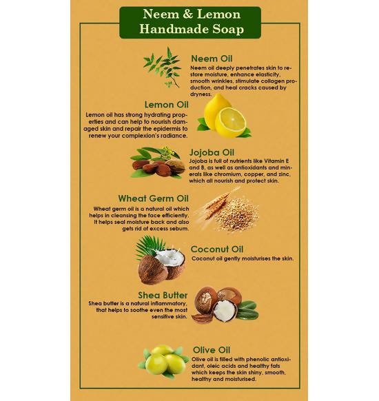 https://cdn.shopify.com/s/files/1/1857/6931/files/Tyz80G1JbI-166585.jpg?v=1736147457