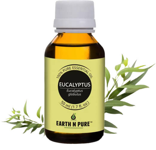 https://cdn.shopify.com/s/files/1/1857/6931/products/Tz0xqciwVl.jpg?v=1646137590