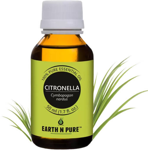 https://cdn.shopify.com/s/files/1/1857/6931/products/U42GwNpkTG.jpg?v=1646137529