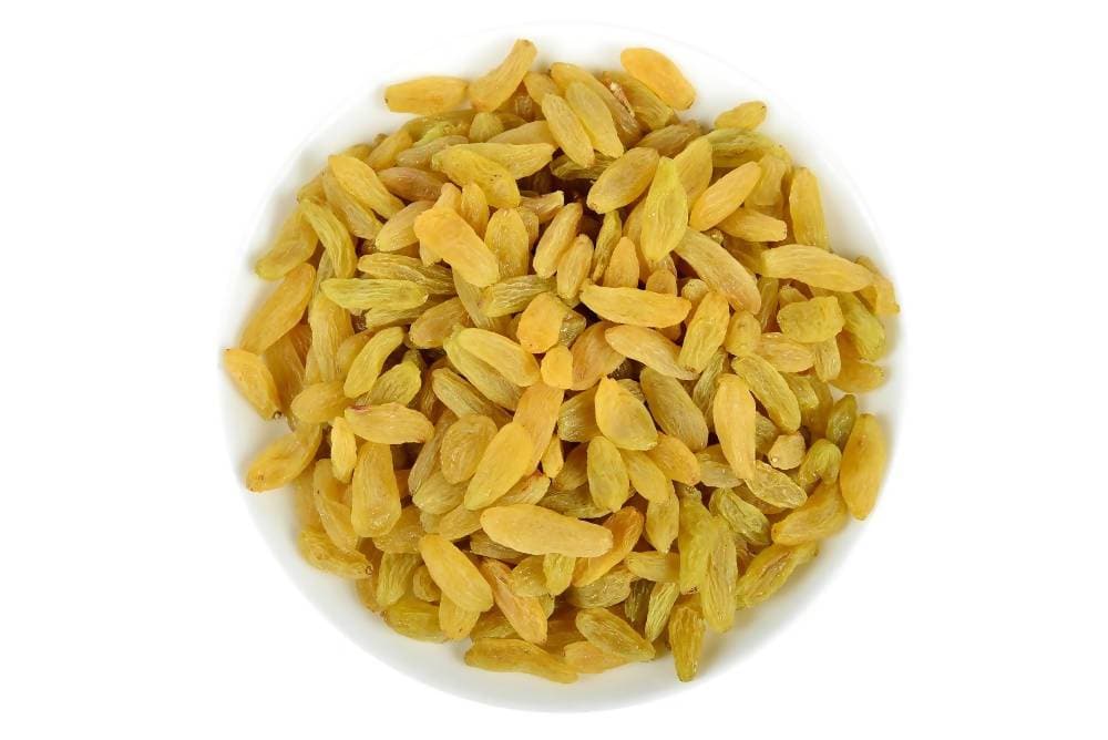 https://cdn.shopify.com/s/files/1/1857/6931/products/U4LOqoqysN.jpg?v=1613889336