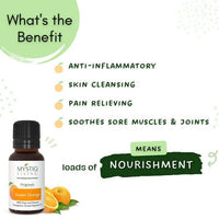https://cdn.shopify.com/s/files/1/1857/6931/products/U8hq6AOaym.jpg?v=1664429328