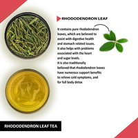 https://cdn.shopify.com/s/files/1/1857/6931/products/U9ApgEvnfO.png?v=1698413011