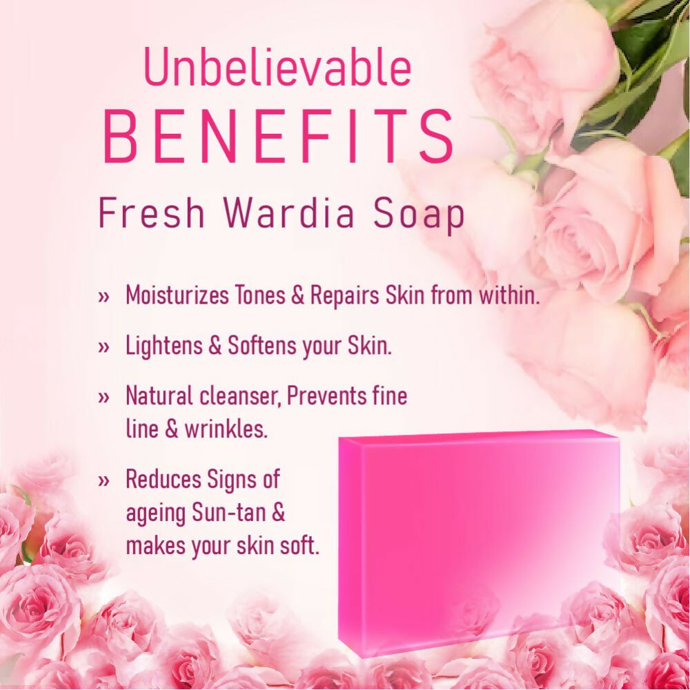 https://cdn.shopify.com/s/files/1/1857/6931/files/UB9MWc1rOt.jpg?v=1715003121