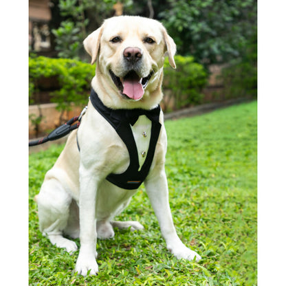 Image 6 of Dogsmedium for the product Waggety Tuxedo Dog Harness - Stylish Black & White Design, Adjustable Fit, Durable Fabric, Elegant Pet Harness for Dogs