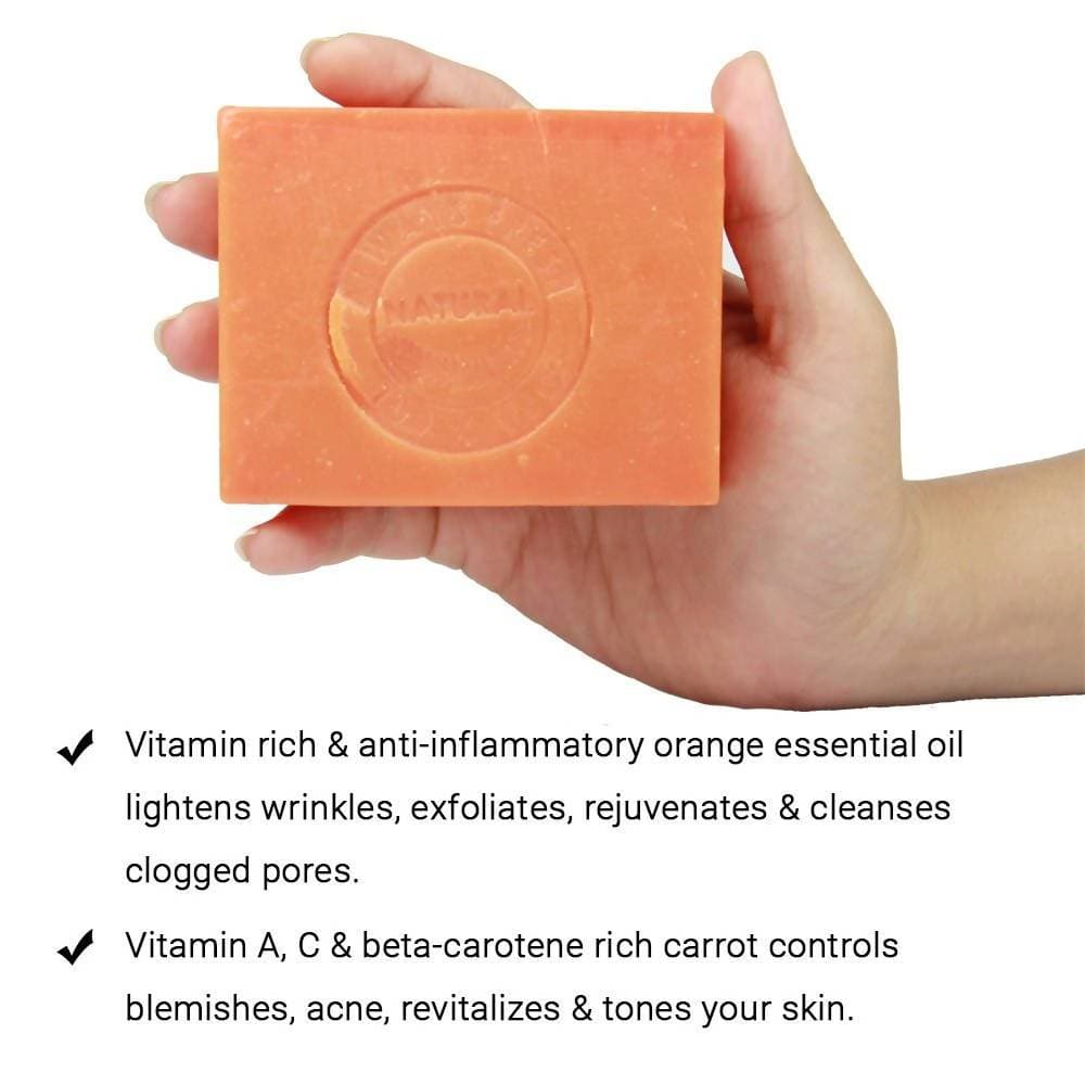https://cdn.shopify.com/s/files/1/1857/6931/products/UIDGEXzDFt.jpg?v=1614911339