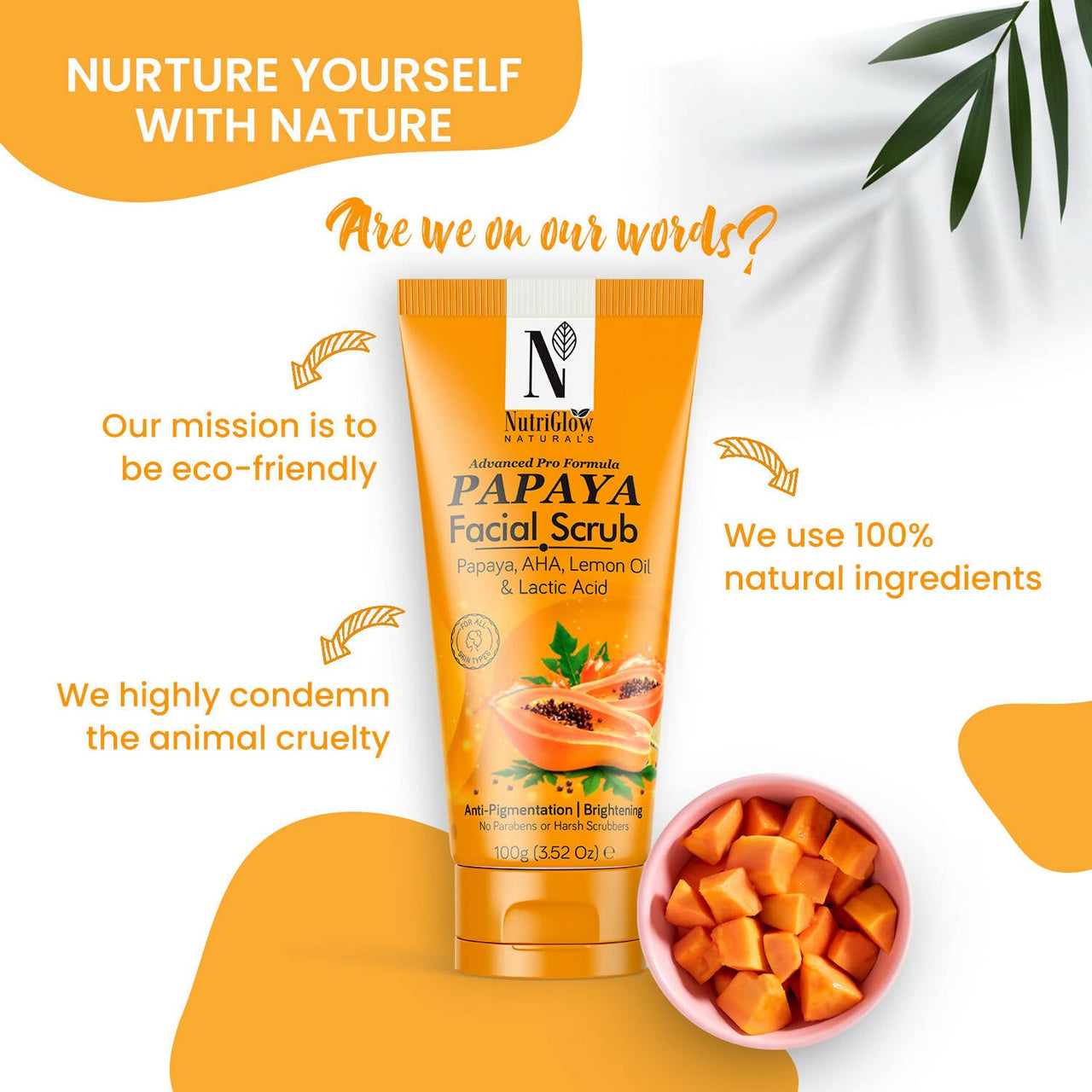 https://cdn.shopify.com/s/files/1/1857/6931/products/UMM5EUbygF.jpg?v=1710144894