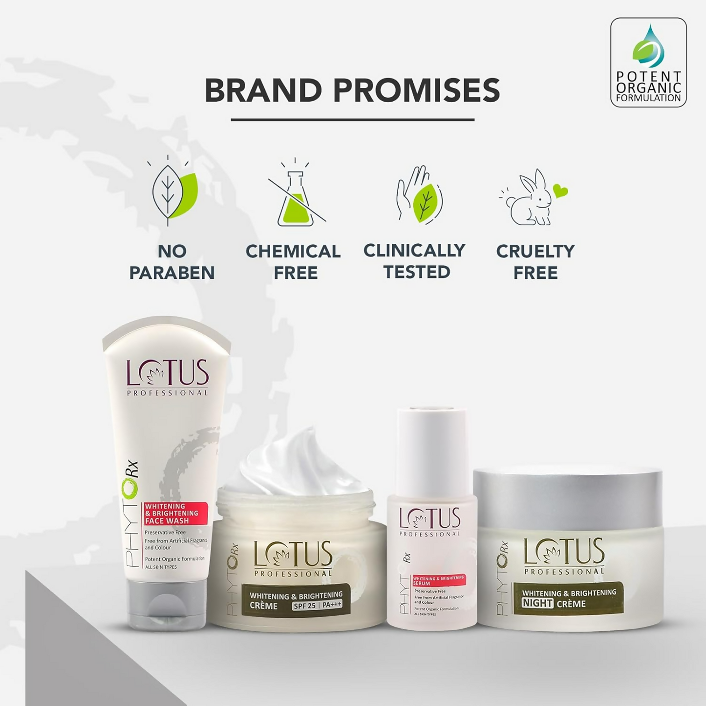 https://cdn.shopify.com/s/files/1/1857/6931/files/UQaEDwxnXy.png?v=1720516123