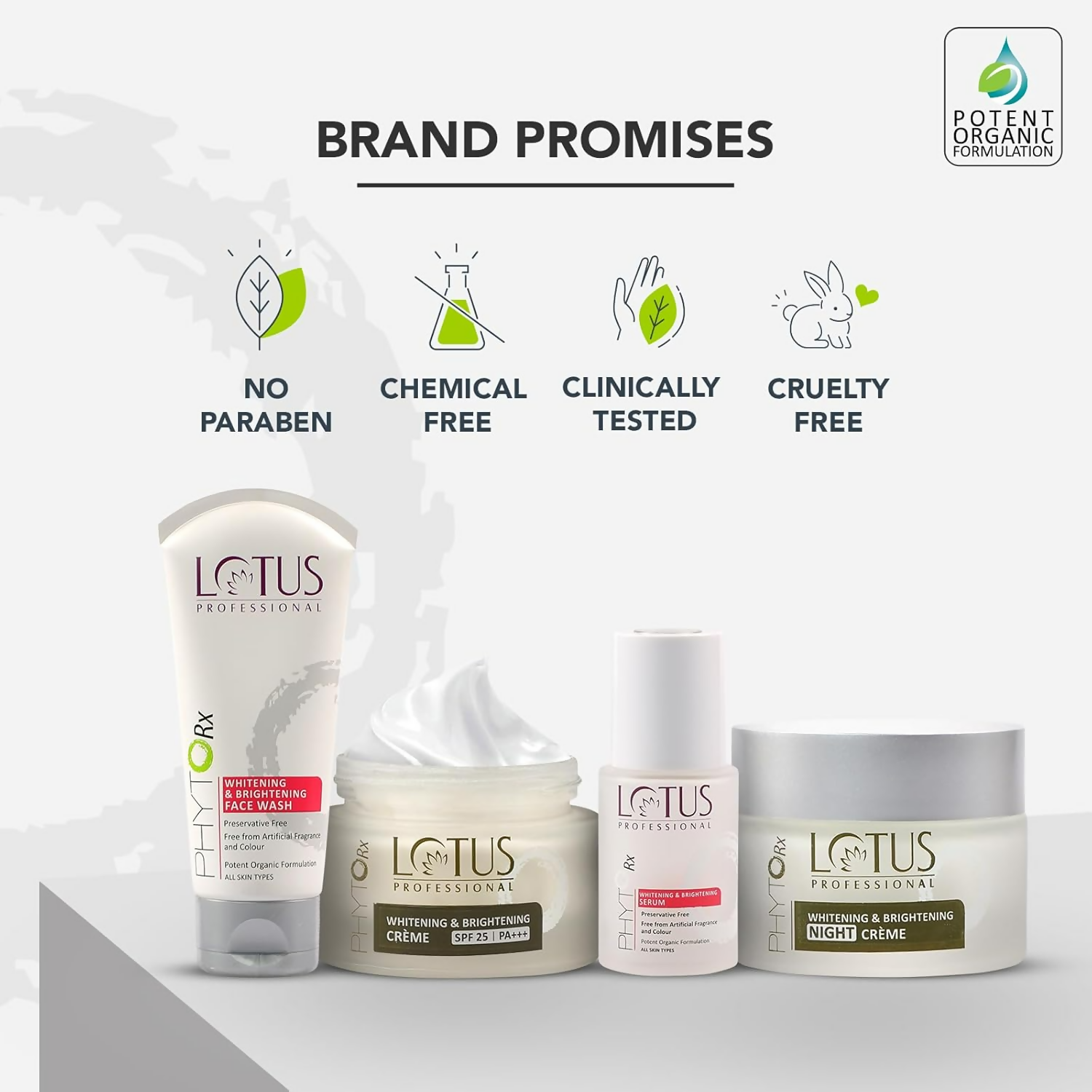 https://cdn.shopify.com/s/files/1/1857/6931/files/UQaEDwxnXy.png?v=1720516123