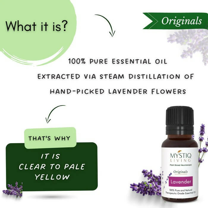 https://cdn.shopify.com/s/files/1/1857/6931/products/UWPBXYN0B6.jpg?v=1664275660