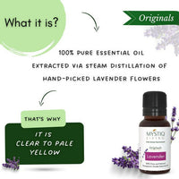 https://cdn.shopify.com/s/files/1/1857/6931/products/UWPBXYN0B6.jpg?v=1664275660