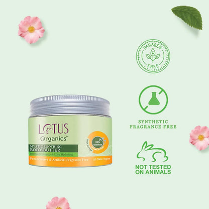 https://cdn.shopify.com/s/files/1/1857/6931/products/UY3mkIvVec.jpg?v=1648460526