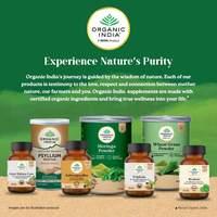 https://cdn.shopify.com/s/files/1/1857/6931/files/UZ7VjjfrLL.png?v=1754690419