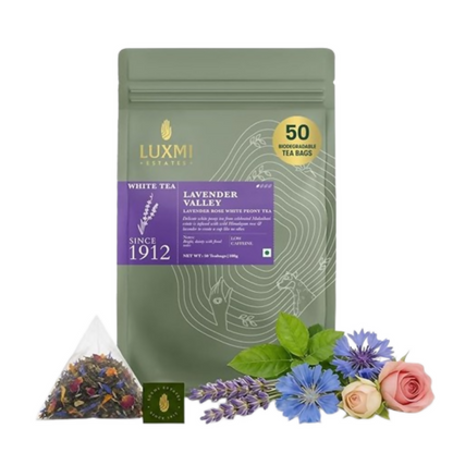 https://cdn.shopify.com/s/files/1/1857/6931/files/UccX6wmU5G.png?v=1782468592