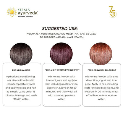 https://cdn.shopify.com/s/files/1/1857/6931/products/UlR2f4YKiX.jpg?v=1638179591