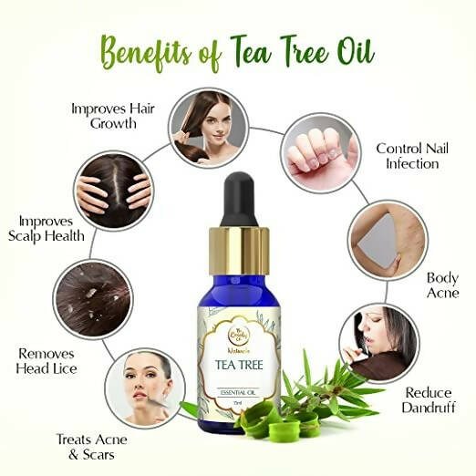 https://cdn.shopify.com/s/files/1/1857/6931/products/UmwDP7Eec3.jpg?v=1671800615
