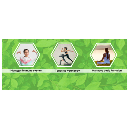 https://cdn.shopify.com/s/files/1/1857/6931/files/Untitleddesign-2024-03-04T104240.900.png?v=1709529189
