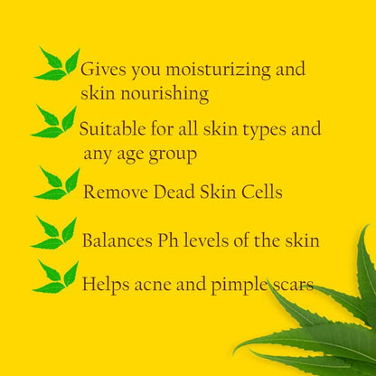 https://cdn.shopify.com/s/files/1/1857/6931/products/Upw1gubtft.jpg?v=1680871545